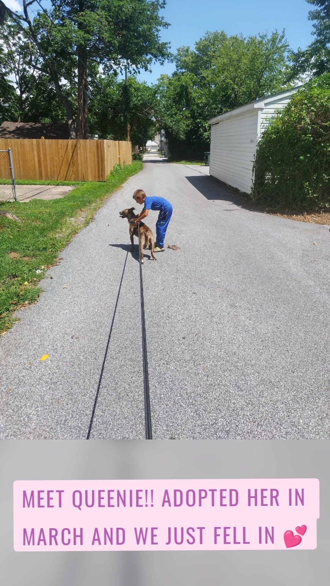 Meet Queenie!! Adopted her in March and we just fell in 💕