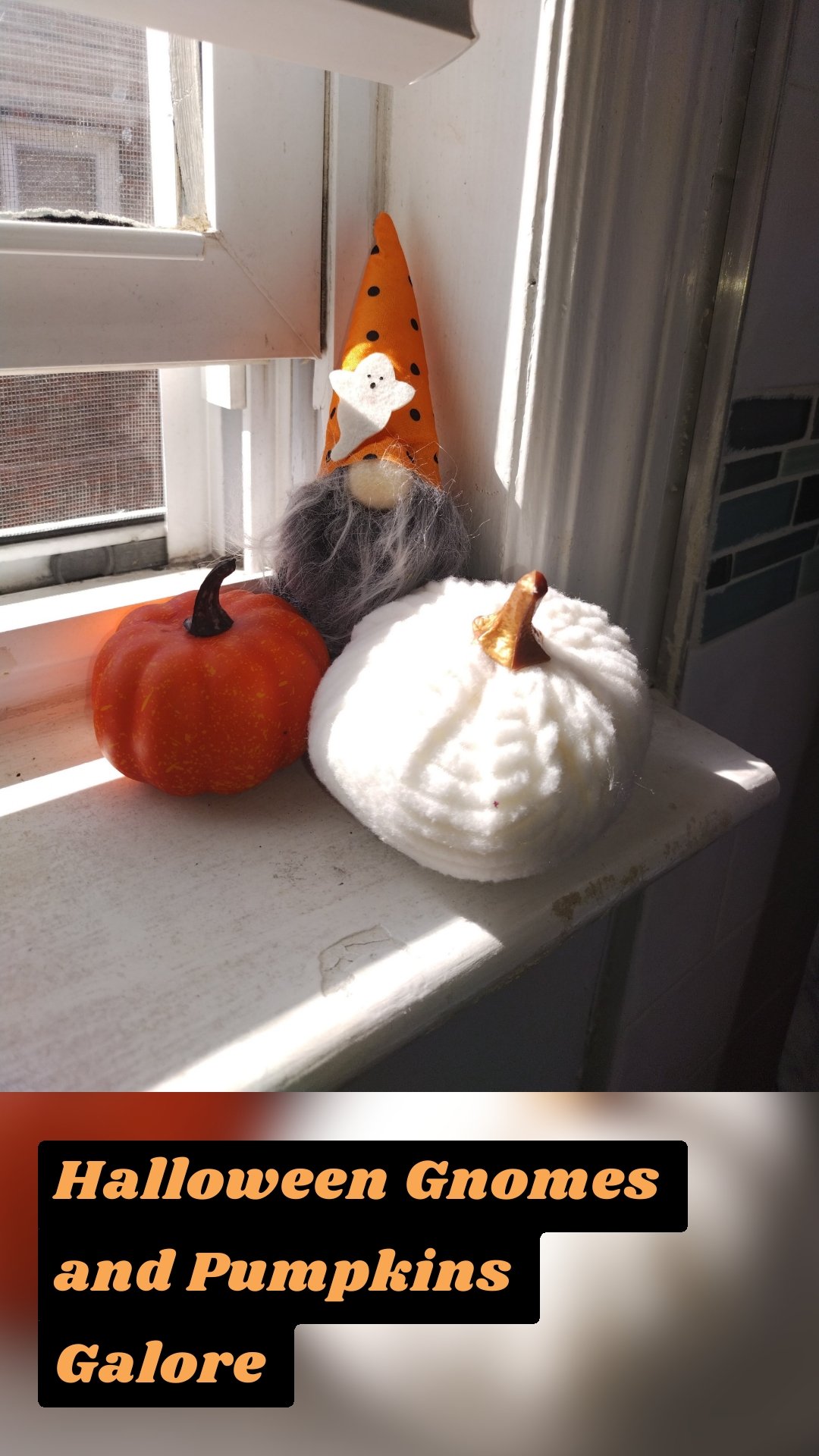Halloween Gnomes and Pumpkins Galore 